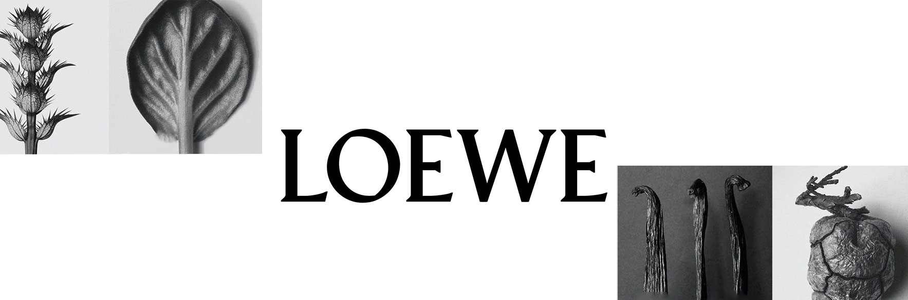 لوئوه | خرید عطرهای لوئوه LOEWE اصل